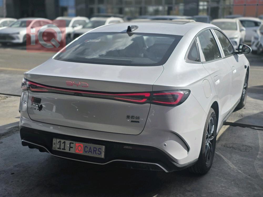 بي واي دي سيل 06 DM-i